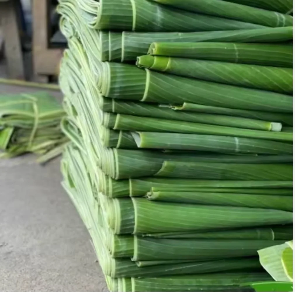 Banana leaves bundle export Indonesia